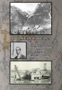 bokomslag Bulkeley Wells And The Uncertain Luck Of The Mining Game