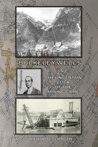 bokomslag Bulkeley Wells And The Uncertain Luck Of The Mining Game