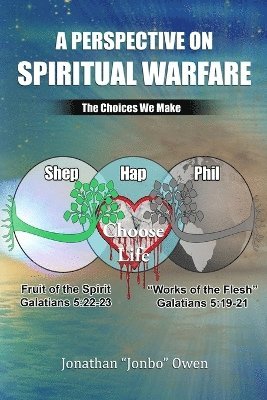 bokomslag Perspective on Spiritual Warfare
