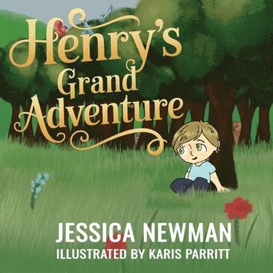 bokomslag Henry's Grand Adventure