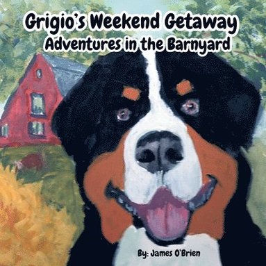 James O'Brien, Jill D O'Brien - Grigio's Weekend Getaway, Häftad