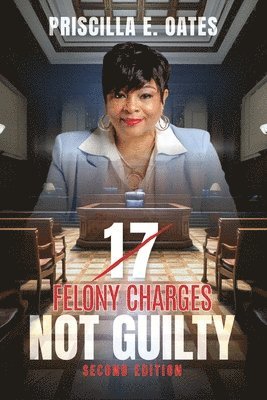 bokomslag 17 Felony Charges: Not Guilty