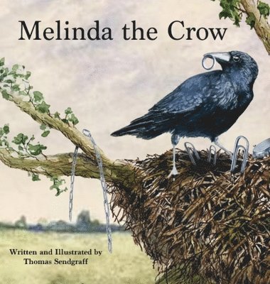 bokomslag Melinda the Crow