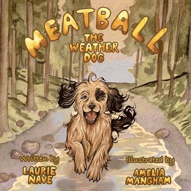Laurie Nave - Meatball the Weather Dog, Häftad