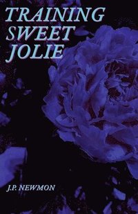 bokomslag Training Sweet Jolie: Dirty Voyeurs Series Book1
