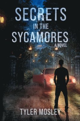 Secrets in the Sycamores 1