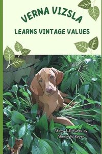 bokomslag Verna Vizsla Learns Vintage Values