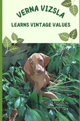 bokomslag Verna Vizsla Learns Vintage Values