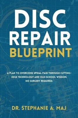bokomslag Disc Repair Blueprint