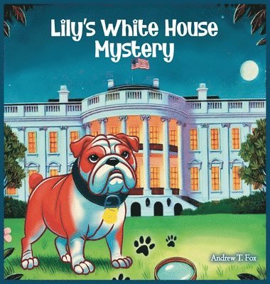 Lily's White House Mystery 1