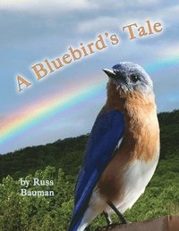 bokomslag Bluebird's Tale