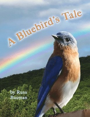 bokomslag Bluebird's Tale