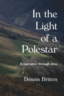 bokomslag In the Light of a Polestar