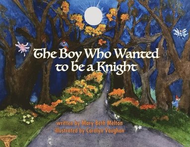bokomslag The Boy Who Wanted to be a Knight