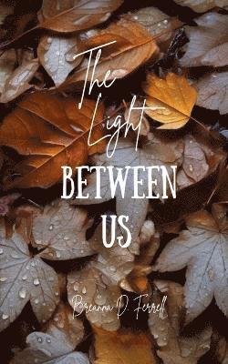bokomslag Light Between Us