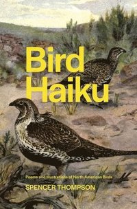 bokomslag Bird Haiku