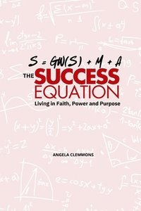 bokomslag Success Equation