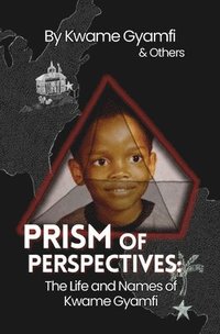 bokomslag Prism of Perspectives
