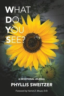 Phyllis Sweitzer, Kara Starcher - What Do You See?, Häftad