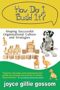 bokomslag How Do I Build It? Shaping Successful Organizational Culture and Strategies