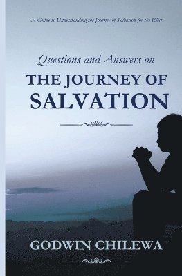 bokomslag Journey of Salvation