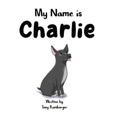 bokomslag My Name is Charlie
