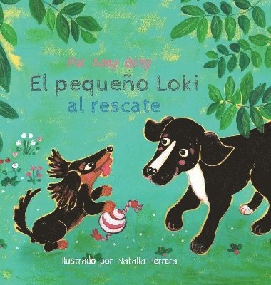 bokomslag pequeño Loki al rescate