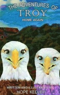 bokomslag Adventures of Troy Home Again