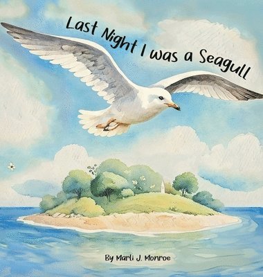 bokomslag Last Night I was a Seagull