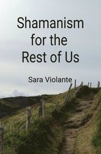 bokomslag Shamanism for the Rest of Us
