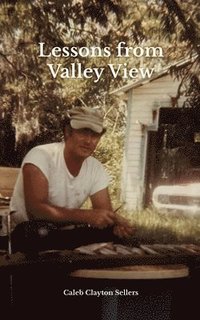 bokomslag Lessons from Valley View