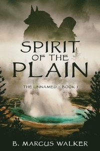 bokomslag Spirit of the Plain