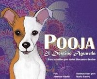 bokomslag Pooja