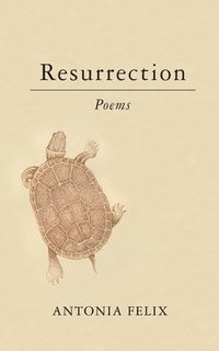 bokomslag Resurrection
