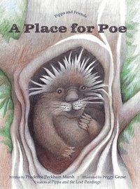 bokomslag A Place for Poe