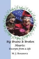 bokomslag Big Brains and Broken Hearts