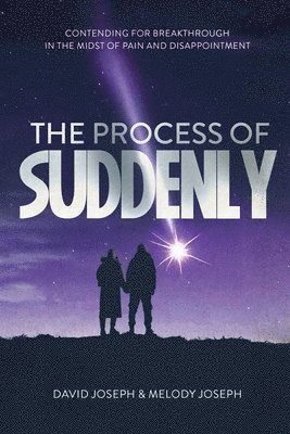 David Joseph, Melody Joseph - Process of Suddenly, Häftad