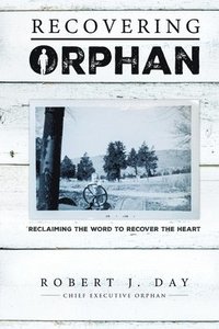 bokomslag Recovering Orphan