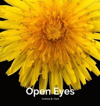 bokomslag Open Eyes