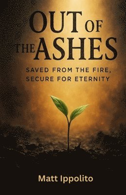 bokomslag Out of the Ashes