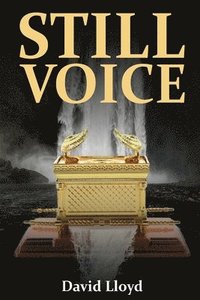 bokomslag Still Voice