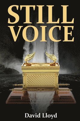 bokomslag Still Voice