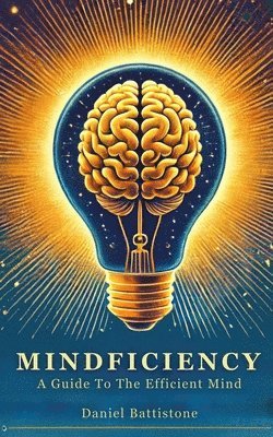 bokomslag Mindficiency: A Guide To The Efficient Mind