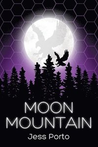 bokomslag Moon Mountain