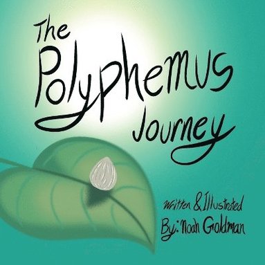 bokomslag Polyphemus Journey