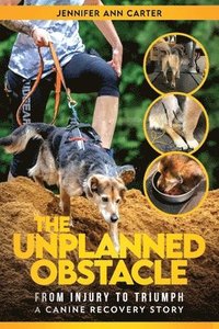 bokomslag The Unplanned Obstacle: From Injury to Triumph: A Canine Recovery Story