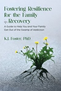 bokomslag Fostering Resilience for the Family in Recovery