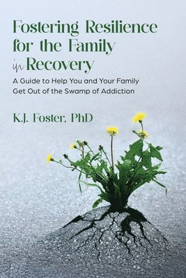bokomslag Fostering Resilience for the Family in Recovery