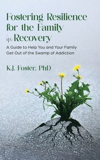 bokomslag Fostering Resilience for the Family in Recovery