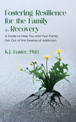 bokomslag Fostering Resilience for the Family in Recovery